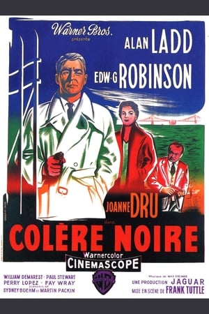 Colère noire